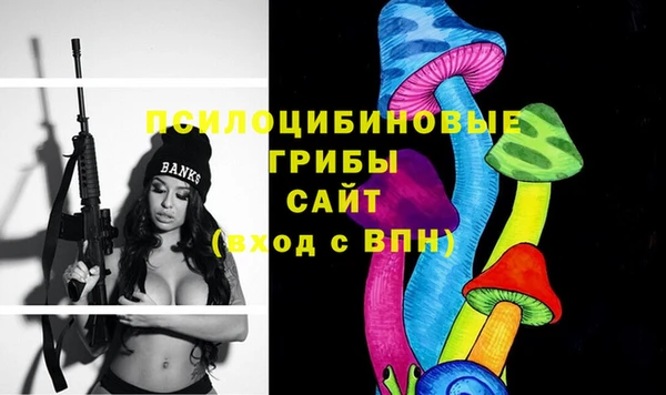 герыч Кинешма