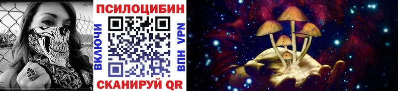 Галлюциногенные грибы MAGIC MUSHROOMS  Купить закладки  Ноябрьск 